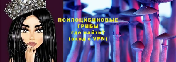 сатива Зерноград