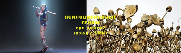 прущая мука Зеленодольск