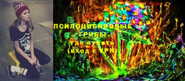 сатива Зерноград