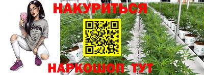 наркотики Прохладный