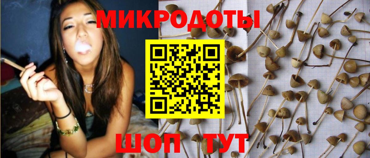 Усть-Лабинск  Псилоцибиновые грибы Psilocybine cubensis  наркотики  Вход с VPN 